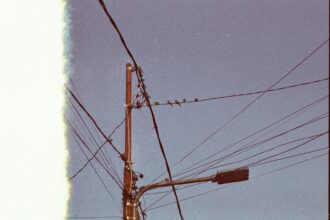 Utility poles and power lines with birds against a clear blue sky in a vintage style.