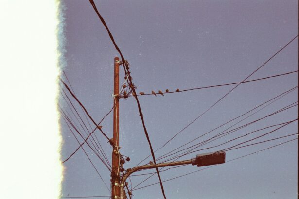 Utility poles and power lines with birds against a clear blue sky in a vintage style.